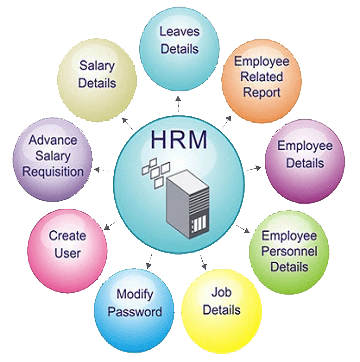 payroll management syaytem software in lucknow